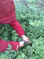 20100215Farm Visit46.jpg